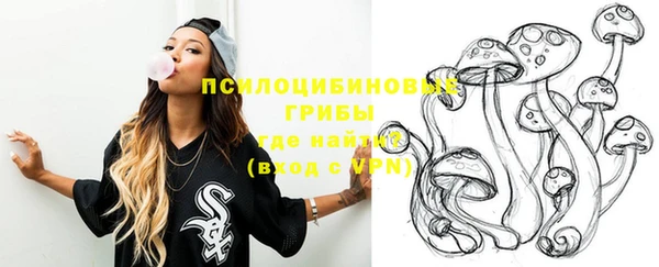 spice Белокуриха