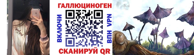 мега ссылки  Пионерский  Галлюциногенные грибы GOLDEN TEACHER 